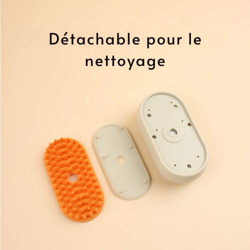 Pet Brush