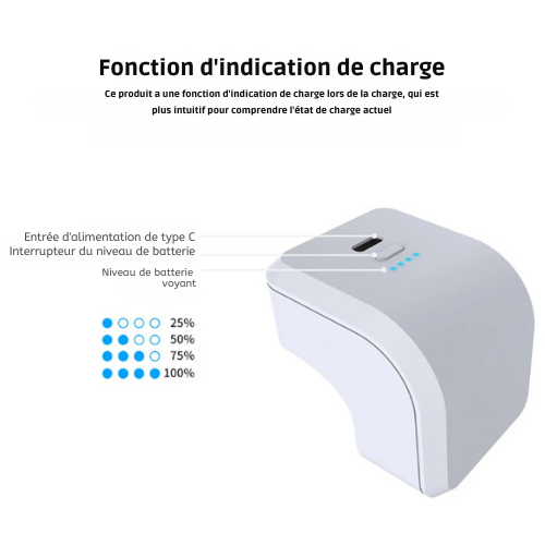 Batterie Externe PS5